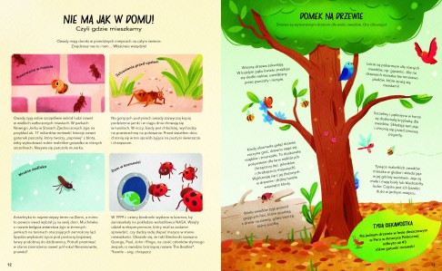 Sekretne zycie owadow_elibri_12